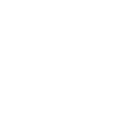 Licensed and Insured Throughout